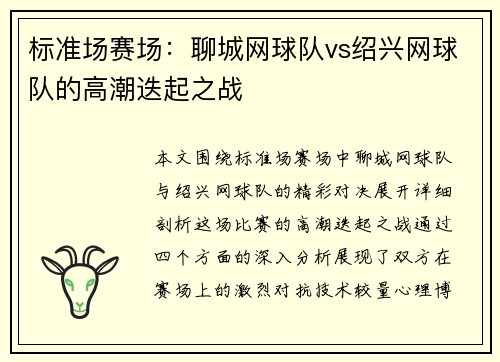 标准场赛场：聊城网球队vs绍兴网球队的高潮迭起之战
