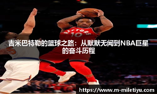 米乐M6官网