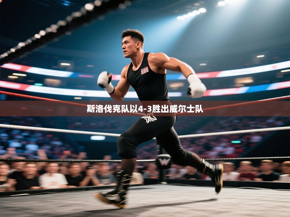 斯洛伐克队以4-3胜出威尔士队 第1张