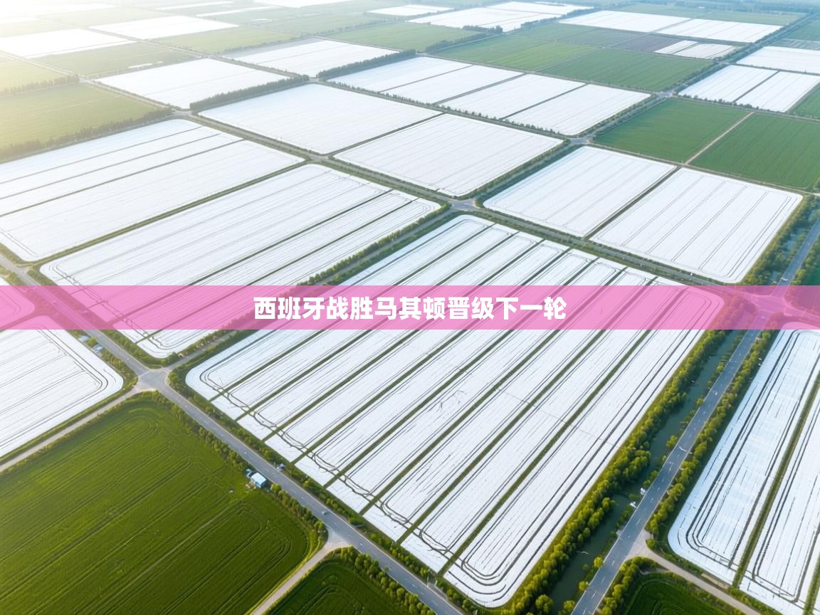 西班牙战胜马其顿晋级下一轮  第1张