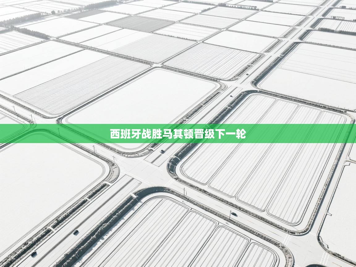 西班牙战胜马其顿晋级下一轮  第2张