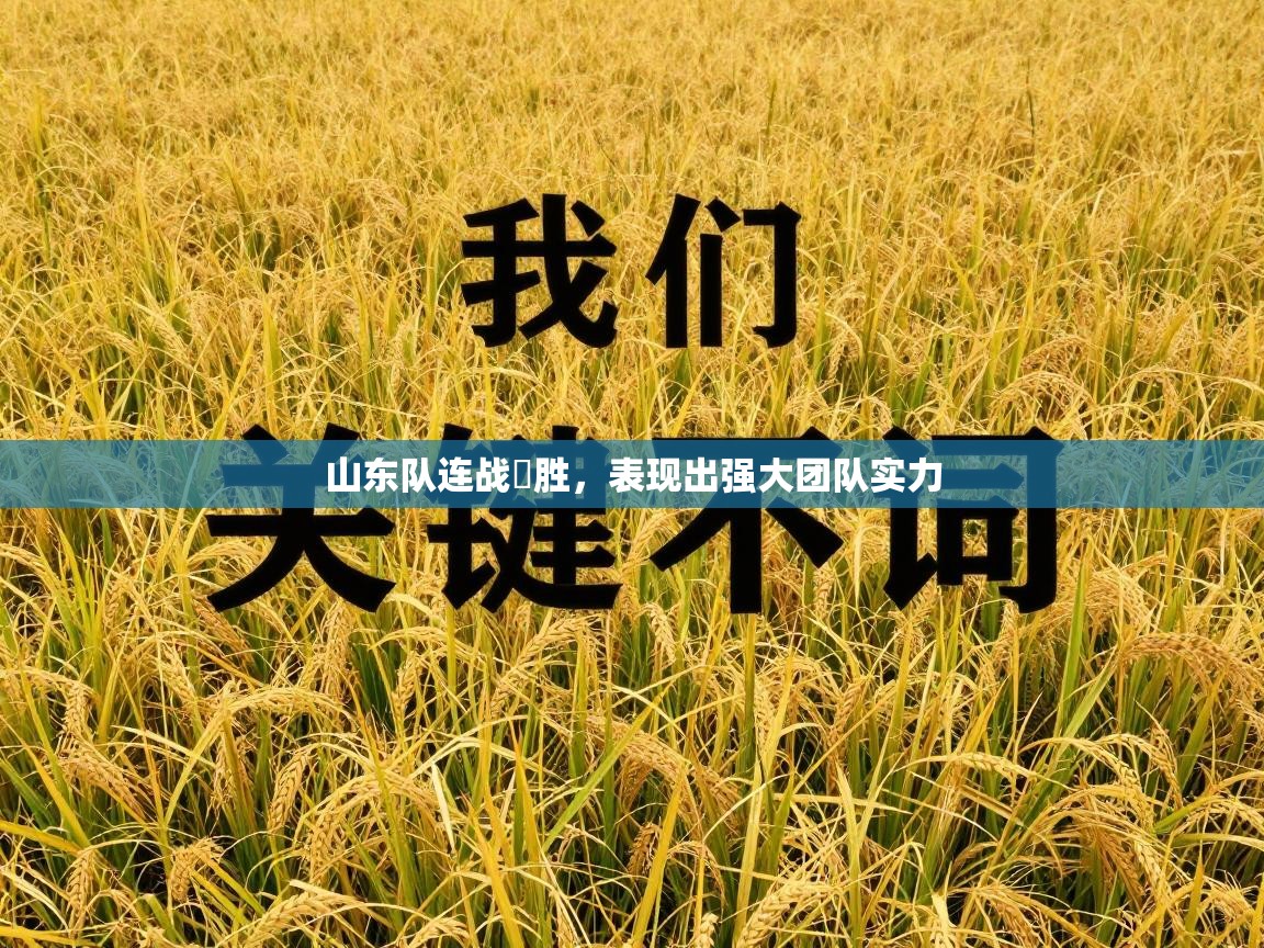 山东队连战連胜，表现出强大团队实力  第1张