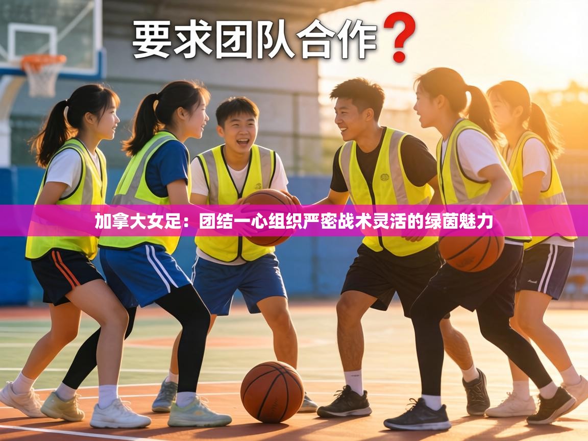 加拿大女足:团结一心组织严密战术灵活的绿茵魅力 第1张