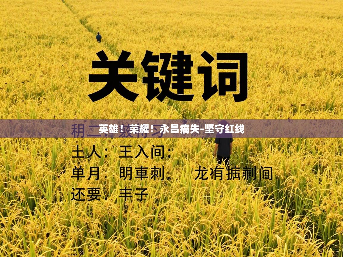 英雄!荣耀!永昌痛失-坚守红线 第2张