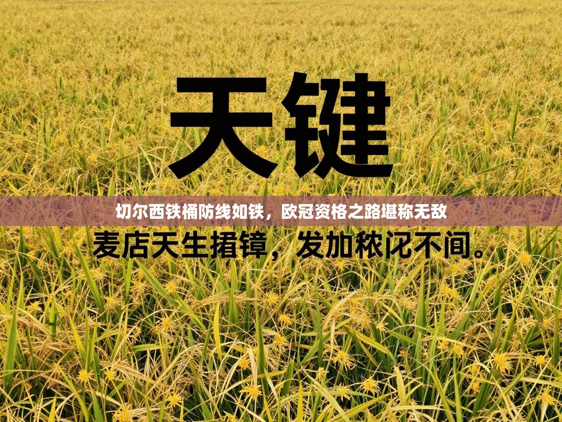 切尔西铁桶防线如铁,欧冠资格之路堪称无敌 第1张